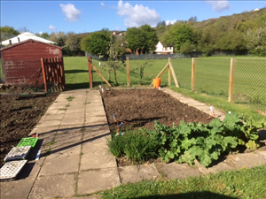Kingfisher Primary School Allotment